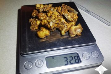 Buy Mexicana Magic Truffles Online in Europe