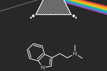 Is DMT Legal in Europe? 2026 Country-by-Country Law Guide
