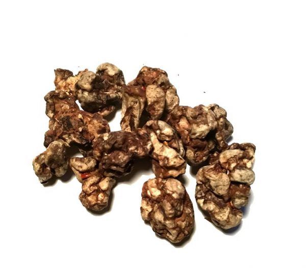 Is Microdosing Legal in the Netherlands?