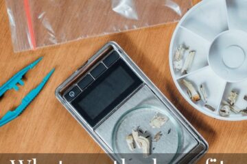 Can You Travel in Europe with Microdoses?